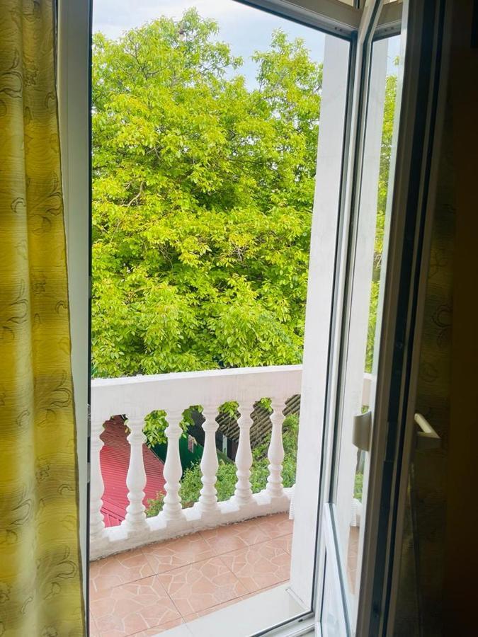 Pensiune Perla Dunarii Giurgiu エクステリア 写真